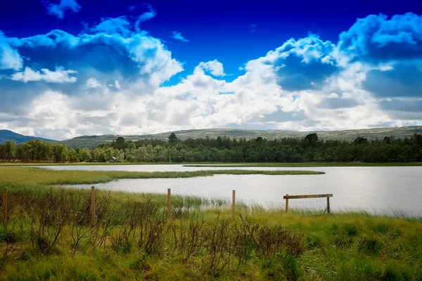 Temiz ekolojik bölge manzara arka plan girme