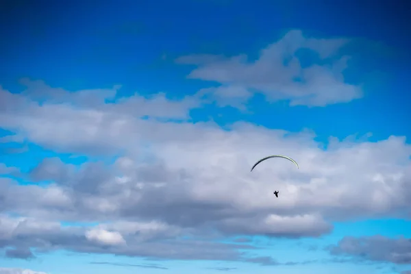 Folheto de pipa no fundo do céu — Fotografia de Stock