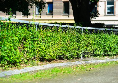 Yatay park çit arka plan