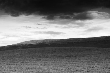 Norveç yaz çayır hills manzara arka plan ile