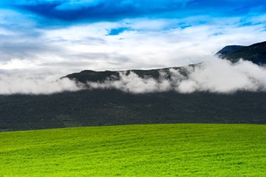 Norveç yaz çayır hills manzara arka plan ile