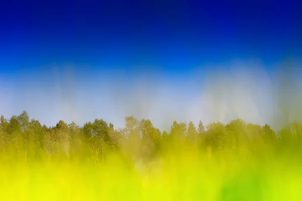 Горизонтальная трава на летнем поле боке — стоковое фото
