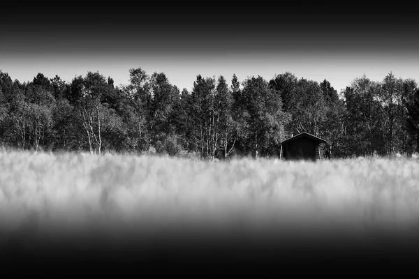 水平草草原コテージ背景のボケ味の — ストック写真