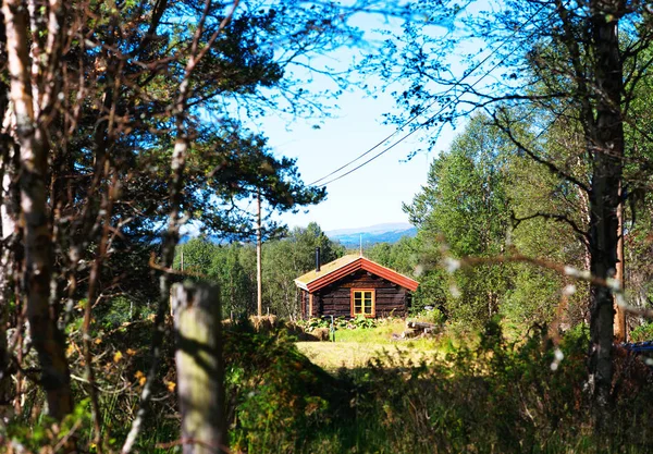 Noruega dom odległej farmie w lesie tło — Zdjęcie stockowe