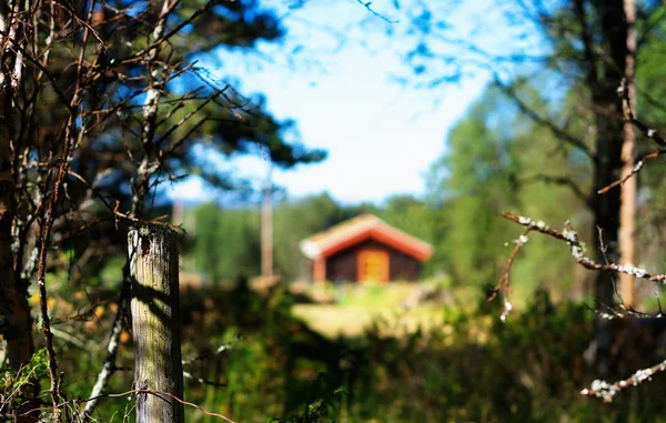 Ormanda arka planda Norveç uzak çiftlik
