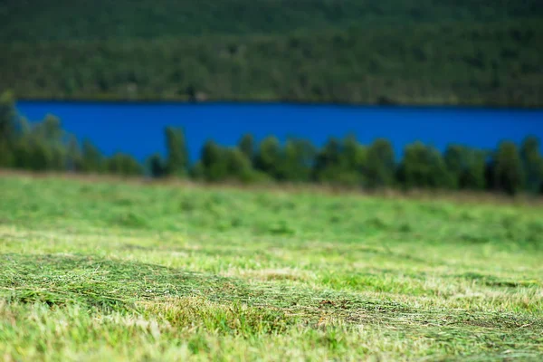 Norveç göl manzara arka plan