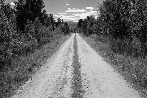 Vintage Norge countyside road bakgrund — Stockfoto