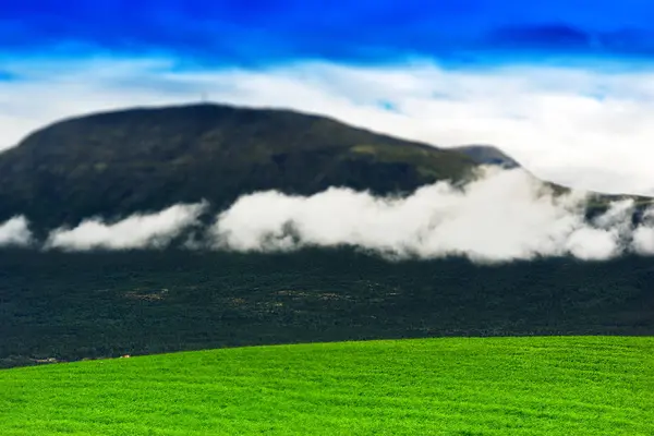 Noruega prado de verano con colinas paisaje fondo —  Fotos de Stock