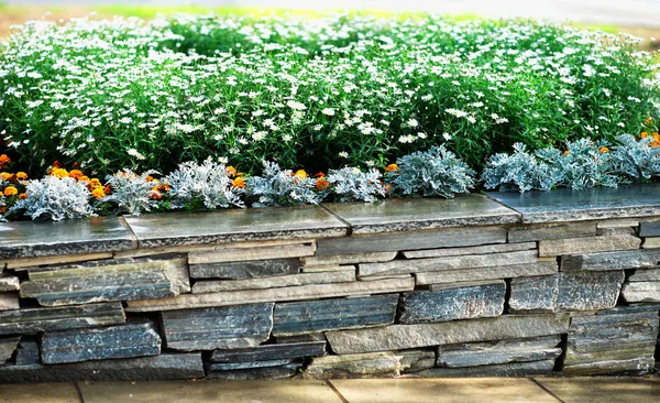 Кирпичный каменный забор на фоне цветов — стоковое фото