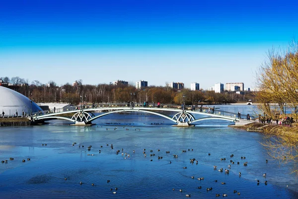 Дуговой мост в московском общественном парке Царицыно — стоковое фото
