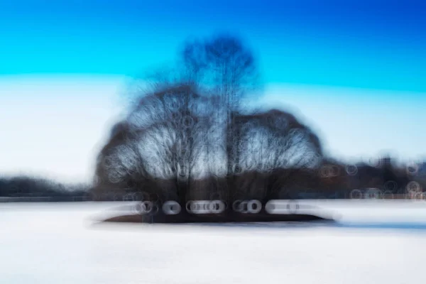 Horizontal árvore dramática em fundo pequeno ilha bokeh — Fotografia de Stock