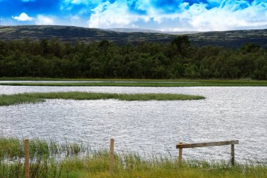 Temiz ekolojik bölge manzara arka plan girme