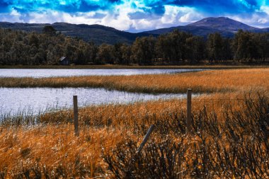 Temiz ekolojik bölge manzara arka plan girme