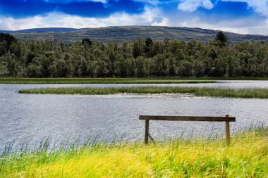 Temiz ekolojik bölge manzara arka plan girme