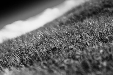 Siyah ve beyaz lake plaj arka plan