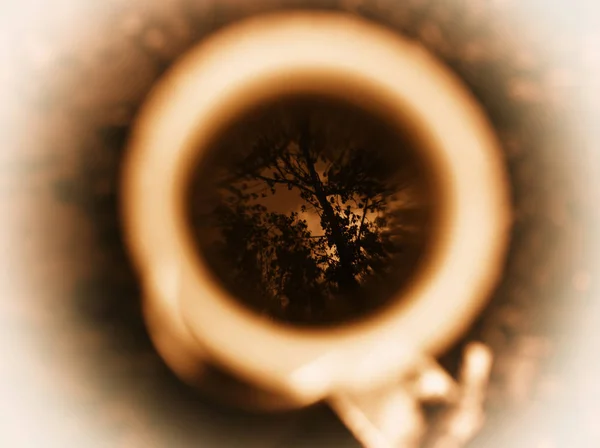Horizontal café taza de café árboles reflexión bokeh fondo — Foto de Stock