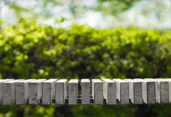 Yatay siyah beyaz park tezgah bokeh arka plan