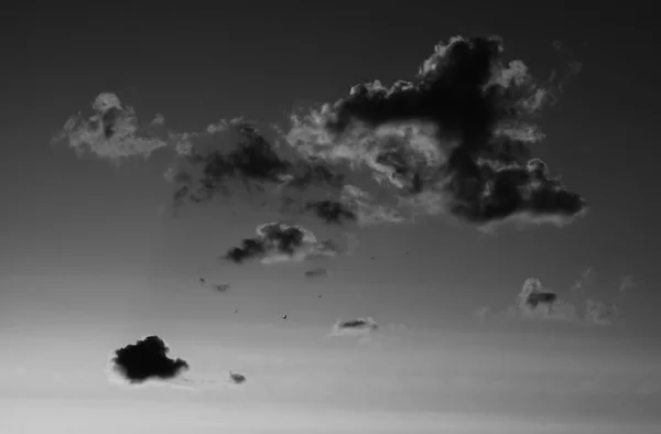 Horizontale schwarz-weiße Sonnenuntergangswolkenlandschaft mit fliegenden Vögeln b — Stockfoto