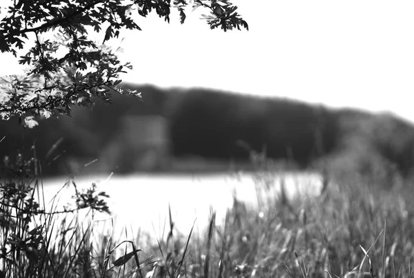 Горизонтальный чёрно-белый пейзаж реки — стоковое фото