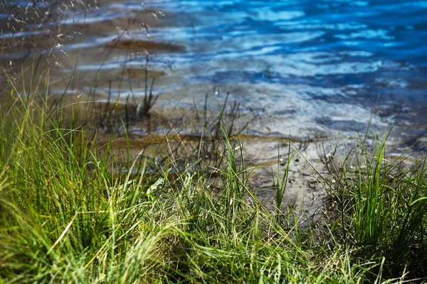 Noorwegen gras in de buurt van lake achtergrond — Stockfoto