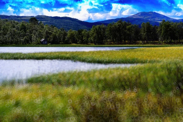 Norveç göl manzara bokeh arka plan