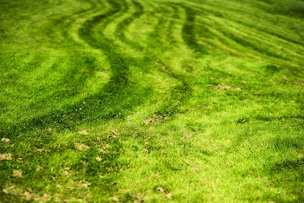 Traces of farm tractor on meadow landscape background — Stock Photo, Image