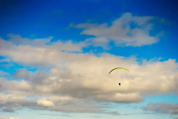 Kite flygblad i sky bakgrunden — Stockfoto