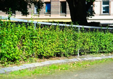 Yatay park çit arka plan