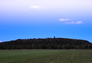 Orman manzara arka plan ile yatay hill