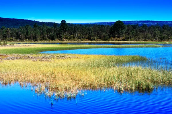 Norveç göl manzara arka plan