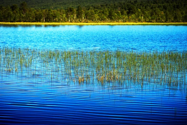 Norveç göl manzara arka planda çim bıçaklar