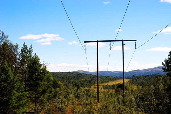 Norway power line in forest background
