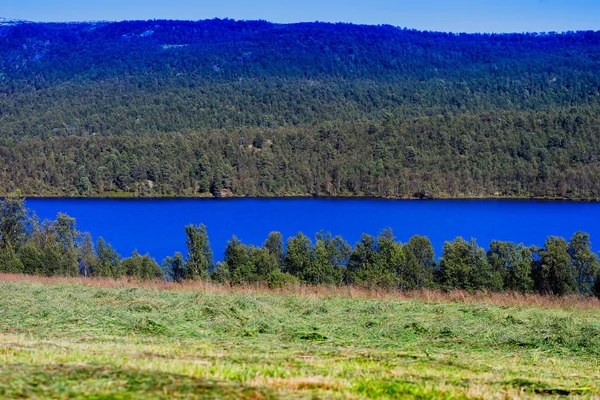 Norsko jezero krajinném zázemí — Stock fotografie