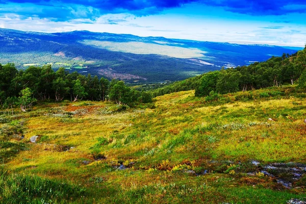 Classico Norvegia foresta di montagna paesaggio sfondo — Foto Stock