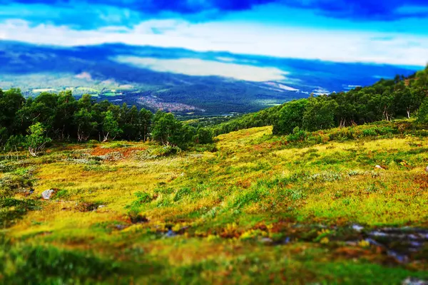 Clássico Noruega montanha floresta paisagem fundo — Fotografia de Stock