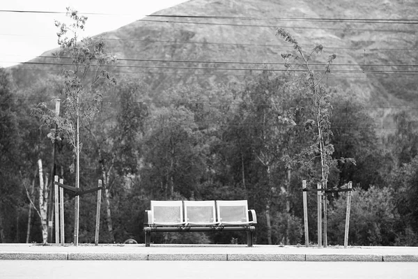 Black and white Norway city bus bench transport background