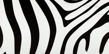 Yatay siyah beyaz zebra arka plan doku