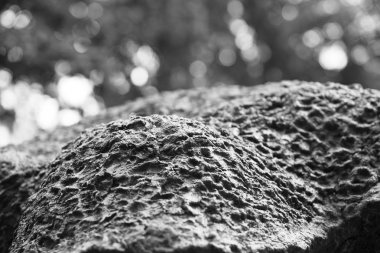 Yatay siyah beyaz zemin park doku arka plan