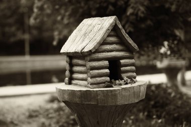 Rusya sepya Arka kabinde kuş Besleyici