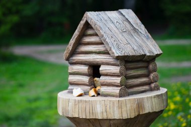 Rusya Arka kabinde kuş Besleyici