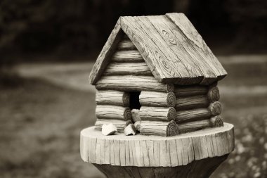 Rusya sepya Arka kabinde kuş Besleyici