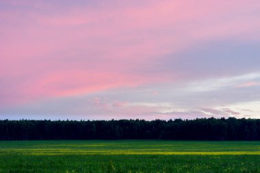 Yatay canlı günbatımı çayır manzara arka plan