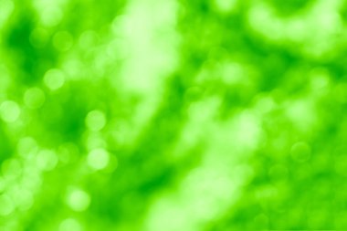 Yatay yaz yeşil bokeh arka plan