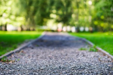 Düşük açılı park yolu manzara arka plan