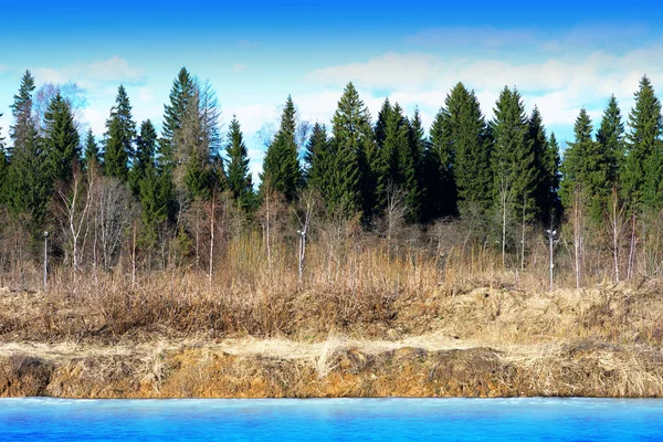 Orizzontale primavera foresta fiume paesaggio sfondo — Foto Stock