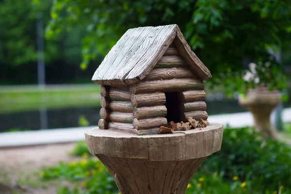 Rusya Arka kabinde kuş Besleyici