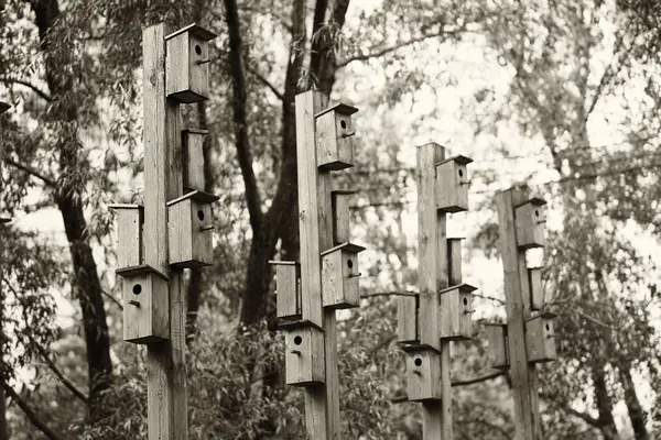 垂直的喂鸟器城市公园景背景 — 图库照片