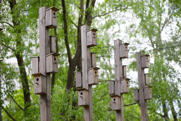 Mangeoire d'oiseaux verticale parc de la ville fond bokeh — Photo