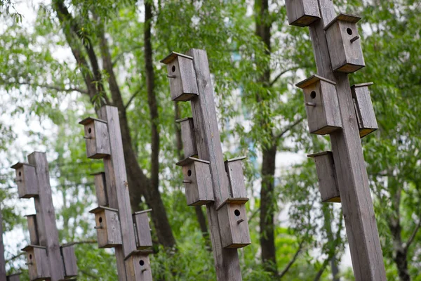 Mangeoire d'oiseaux verticale parc de la ville fond bokeh — Photo