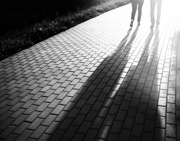 Černá a bílá chůze pár v pozadí bokeh sunset park — Stock fotografie